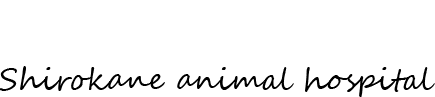 白金/白金台動物病院　ホームへ